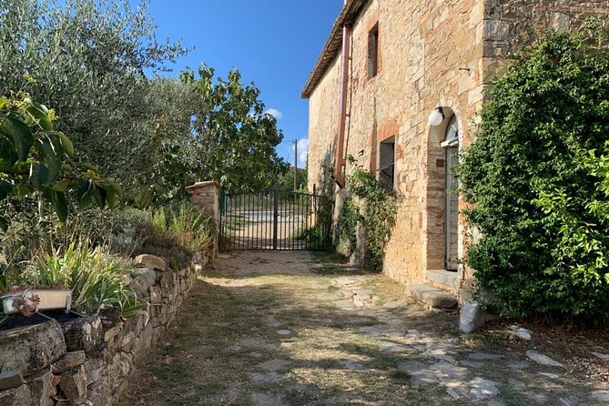 Siena: Small group Cooking Class in Chianti Farmhouse - Price and value: what $139.13 gets you