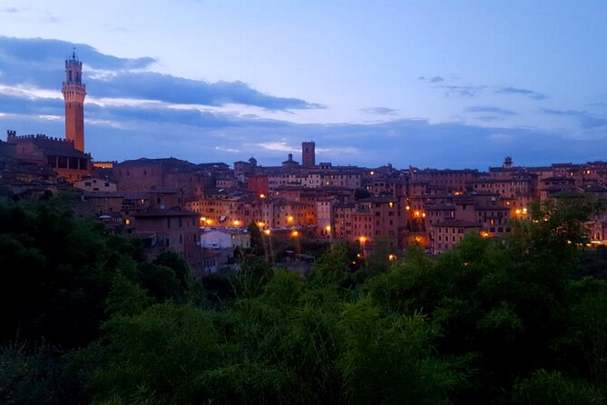 Siena walking tour with lunch & Chianti wine - What you’re really paying for (and why it’s fair)