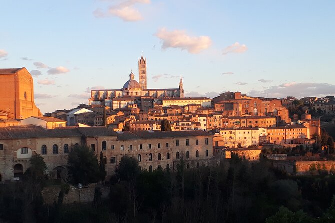 Siena walking tour with lunch & Chianti wine - Gelato near San Domenico: the first taste sets the tone