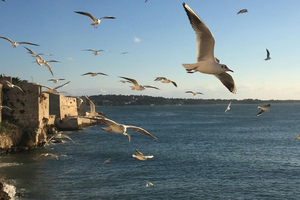 Siracusa: Ortygia Island Boat Tour with Grotto Visit - The 1-Hour Route: Cruising Ortigia’s Landmarks