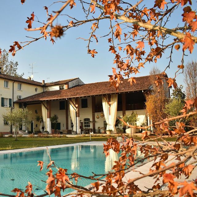 Sirmione: Vineyard Tour with Lugana Wines and Local Tastings - Price, timing, and the meeting point near Sirmione