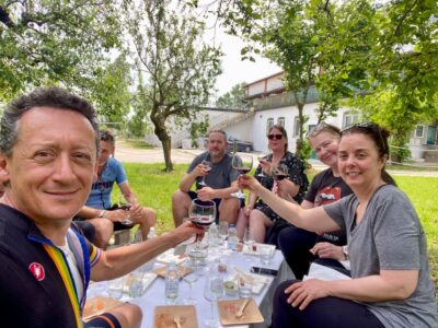 Sirmione: Vineyard Tour with Lugana Wines and Local Tastings - Walking the vineyards: Turbiana, sustainable farming, and biodiversity talk