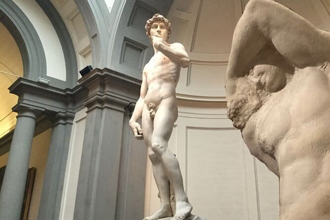 Skip the line : David Guided Experience - Your One-Hour Route: From Michelangelo’s Genius to David’s Multiple Views