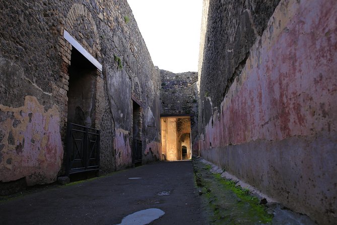 Skip the Line Guided Tour of Pompeii led by an Archaeologist - Practical Stuff: Meeting Point, Footwear, and Real Timing