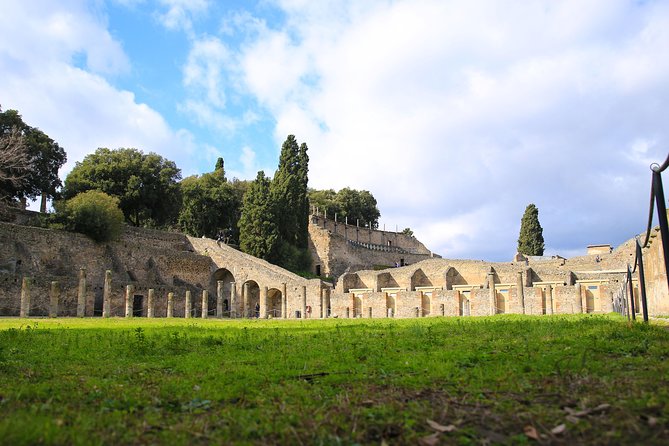 Skip-the-Line Half-Day Private Tour Ancient Pompeii Highlights with Native Guide - Your Guide in Control: Private Pace and No Getting Lost