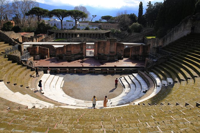 Skip-the-Line Half-Day Private Tour Ancient Pompeii Highlights with Native Guide - Pompeii Archaeological Park Time: A Focused Walk, Not a Marathon