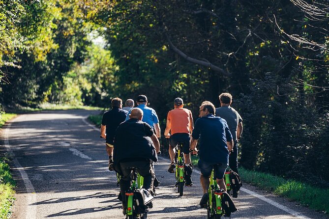 Small-group Amarone Wine e-Bike Tour from Verona - A Half-Day Verona to Valpolicella E-Bike With Amarone