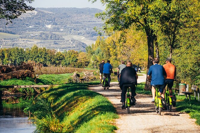 Small-group Amarone Wine e-Bike Tour from Verona - Pedaling Into Valpolicella: Vineyard Hills, Olive Trees, and Big Views