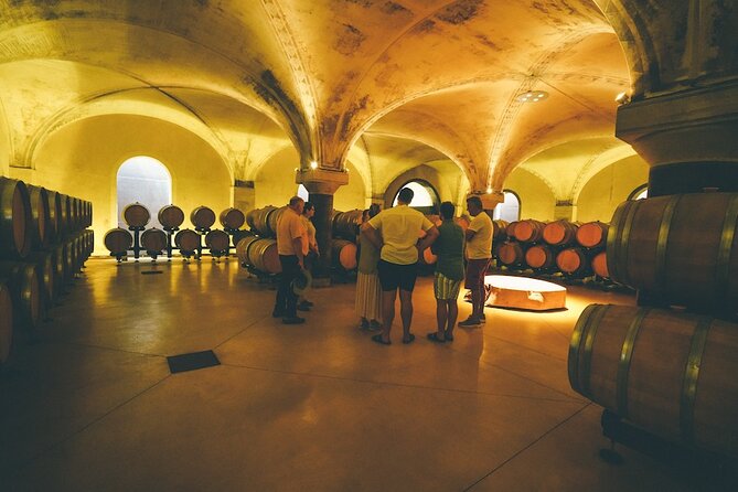 Small-group Amarone Wine e-Bike Tour from Verona - The Winery Stop: From Valpolicella Profiles to Amarone