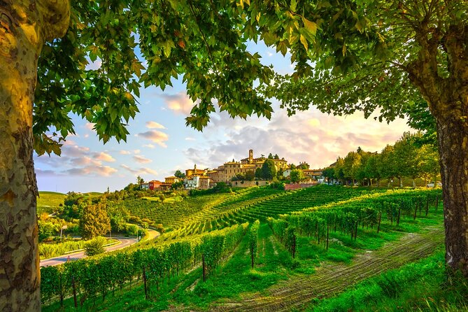 Small-Group Barolo Wine Tasting, Alba & UNESCO Piedmont Hills - A long Milan-to-Piedmont day that actually feels organized