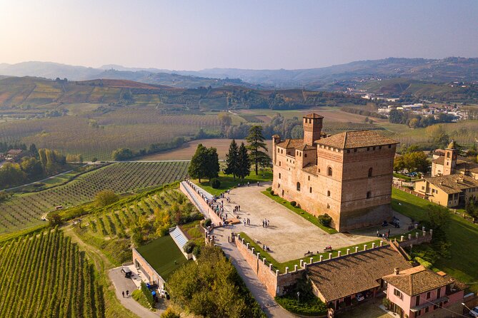 Small-Group Barolo Wine Tasting, Alba & UNESCO Piedmont Hills - Barolo in a family winery: rules you can taste