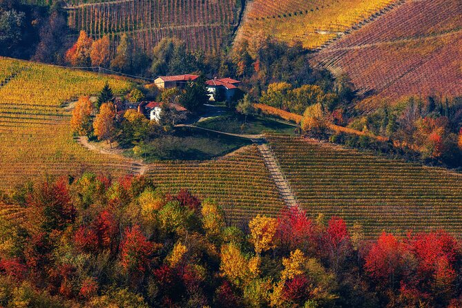 Small-Group Barolo Wine Tasting, Alba & UNESCO Piedmont Hills - Value and pacing: is $216.46 a fair deal?
