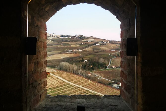 Small-Group Barolo Wine Tasting, Alba & UNESCO Piedmont Hills - The tasting focus: 6 wines, Nebbiolo logic, and how to get more out of it