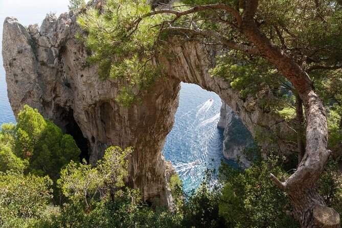 Small Group Boat Day Excursion to Capri Island from Amalfi - Key Highlights That Matter
