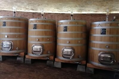 Small-Group Brunello di Montalcino Wine-Tasting Trip from Siena - Stop 1: vineyard walks, cellars, and your first Brunello comparisons