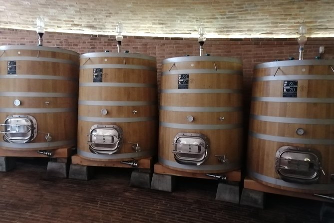Small-Group Brunello di Montalcino Wine-Tasting Trip from Siena - Stop 1: vineyard walks, cellars, and your first Brunello comparisons