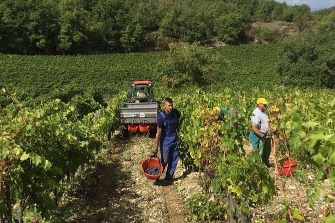 Small Group Chianti Wine Tasting with Seven Tuscan Wines - Florence to Chianti: the drive that sets the mood