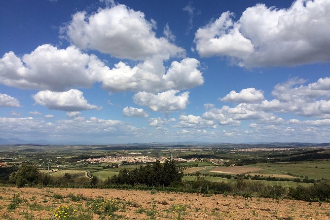 Small-Group Food and Wine Tour from Cagliari - Why the Small Group Feel Changes Everything