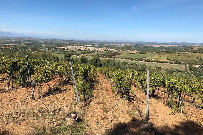 Small-Group Food and Wine Tour from Cagliari - Price and What You Get for About $108.89