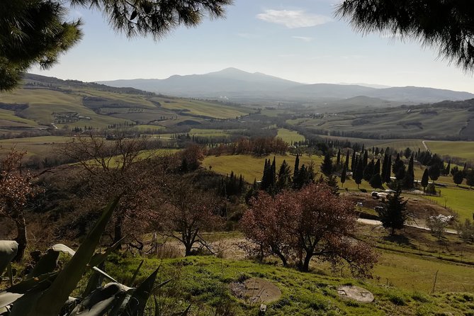 Small-Group Montepulciano and Pienza Day Trip from Siena - Price and Value: Is $217.77 a Good Deal?