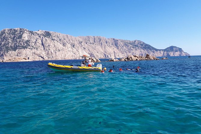Snorkeling marine protected area Tavolara - The 4-Hour Rhythm: Small Group, Easy Pace, Real Coaching