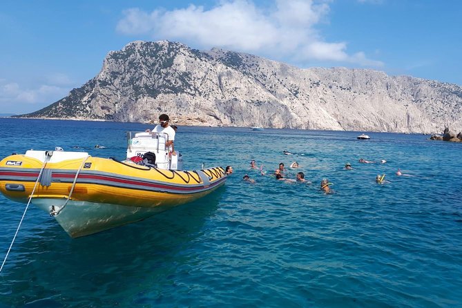 Snorkeling marine protected area Tavolara - The Crisso Wreck at Porto San Paolo: A Underwater Photo with a Pulse