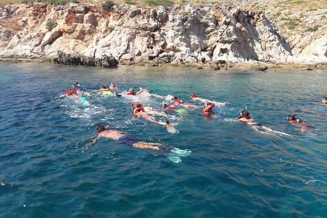 Snorkeling marine protected area Tavolara - Molara Natural Pools: Where the Water Turns Into a Snorkeler’s Playground