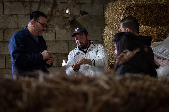 Sorrento Farm by Tuk Tuk: Cheese, Limoncello & Hands-On Pizza - Hands-on Neapolitan pizza: your dough-to-oven moment