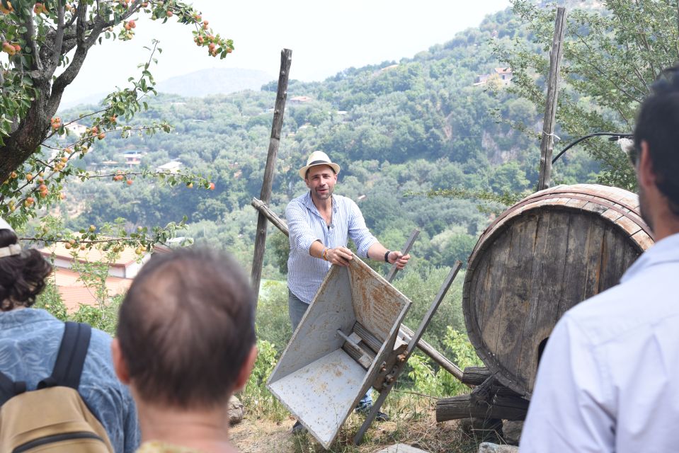 Sorrento: Farm Tour with Cheese Tasting & Pizza Making Class - Key highlights you’ll actually feel