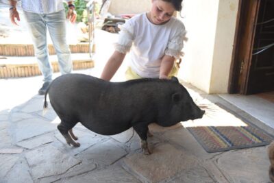 Sorrento: Farm Tour with Cheese Tasting & Pizza Making Class - The 4 Hours: A Busy, Fun Schedule Without Feeling Rushed