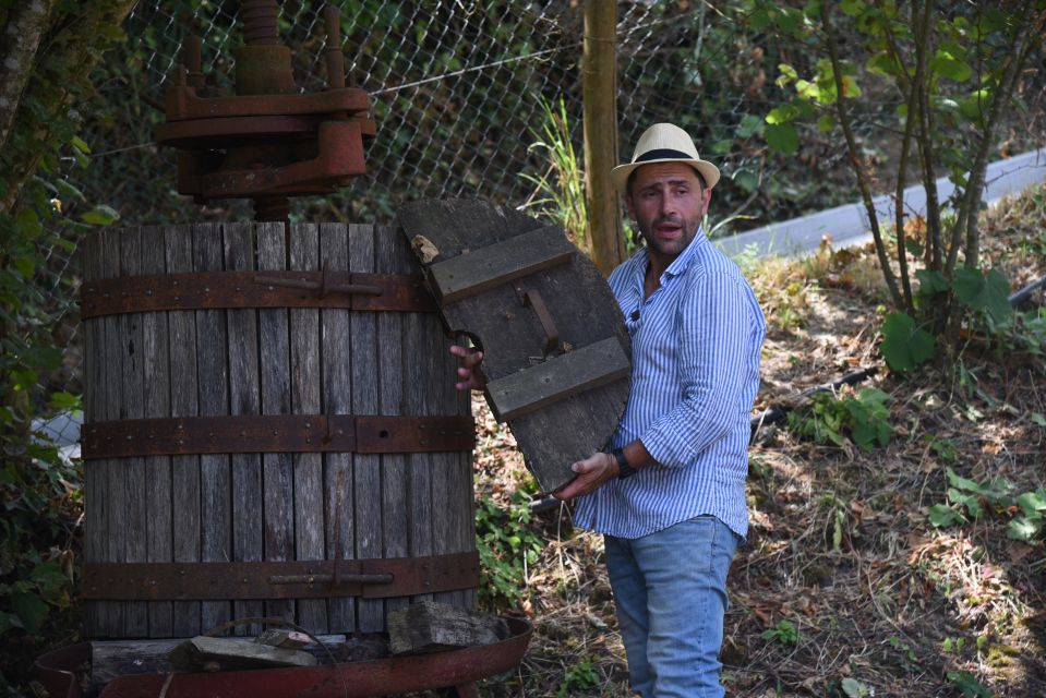Sorrento: Farm Tour with Cheese Tasting & Pizza Making Class - Lunch on the Farm: Made With Your Hands, Paired With Wine and Limoncello