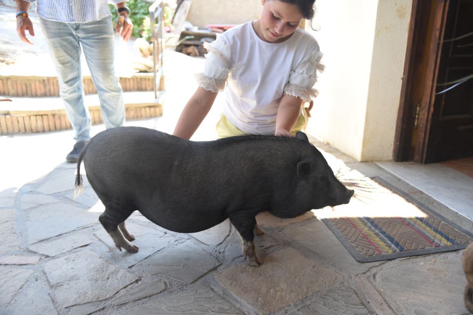 Sorrento: Farm Tour with Cheese Tasting & Pizza Making Class - The 4 Hours: A Busy, Fun Schedule Without Feeling Rushed