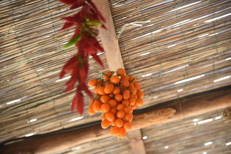 Sorrento: Pizza Lesson, Wine, and Limoncello at a Local Farm - Who should book this Sorrento pizza-and-wine farm evening