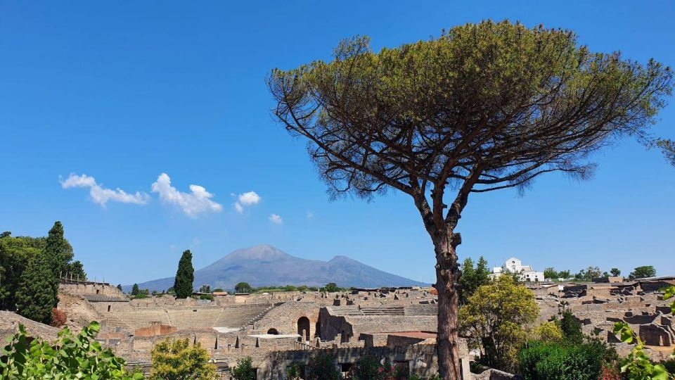 Sorrento: Skip-the-Line Pompeii Express Tour by Train - The Best Part After the Tour: Your Optional Time in Pompeii