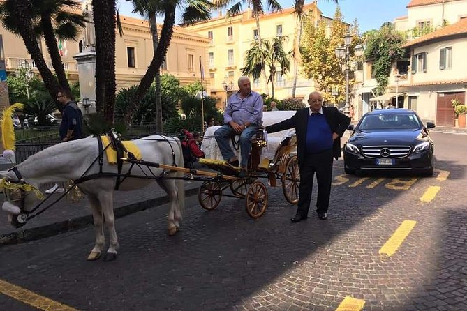 Splendida giornata con noi in costiera Amalfitana e dintorni - Who this private tour is best for