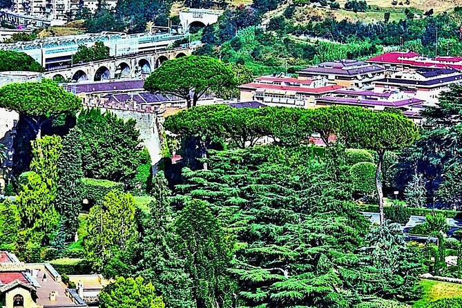 St. Peter's Basilica and Papal Grottoes Guided Tour - FAQ