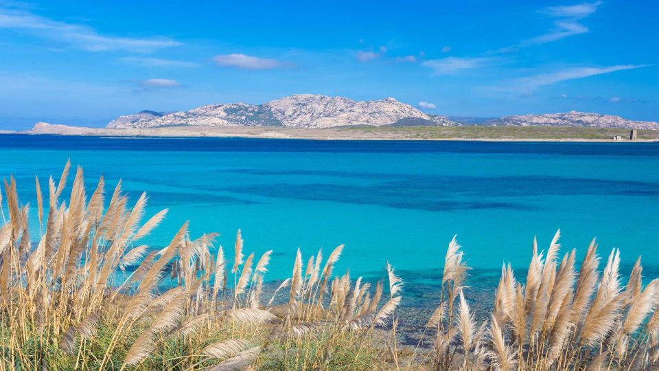 Stintino: Half-day catamaran tour to La Pelosa with aperitif - Sailing the coast and spotting islands on the way to La Pelosa