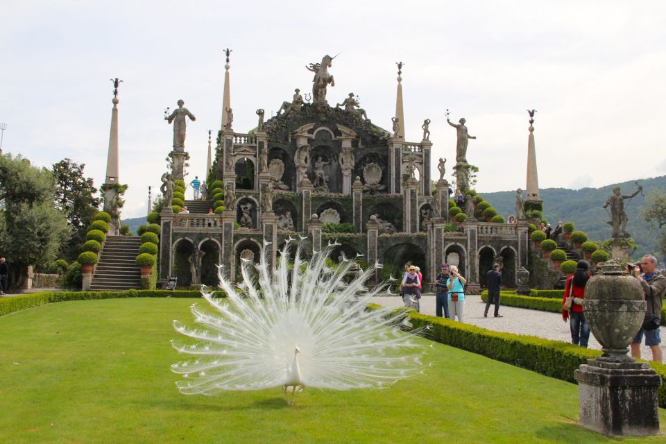 Stresa: 3 Borromean Islands Boat Tour - Where to meet in Stresa (and how to not waste time finding the pier)