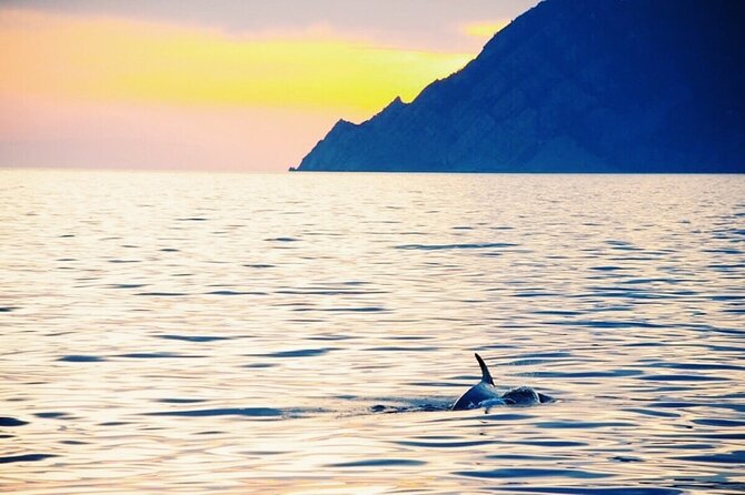 Sunset Cinque Terre Boat Tour with a traditional ligurian gozzo from Monterosso - Riomaggiore: the sea-side photo moment and the bathing spot