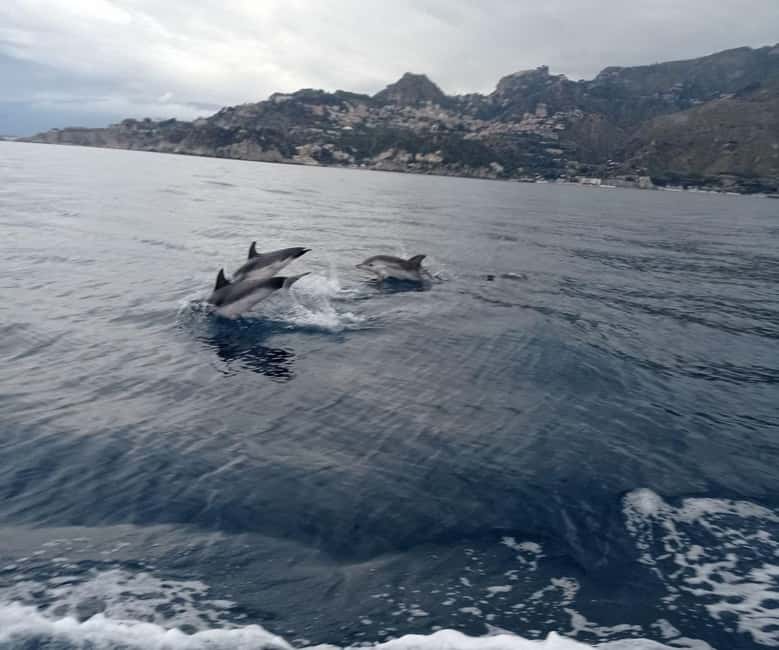 Sunset tour in search of dolphins with aperitif - Price and Value: Is $53 a Good Deal for a 3-Hour Boat?