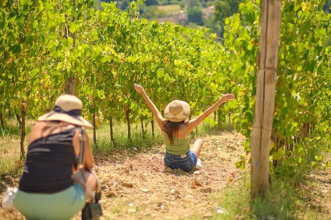 Super Chianti 2 wineries & meat feast @ Dario Cecchini—max 8 pp - Casa Erta Winery Visit: Tour and Tasting in the Chianti Mood