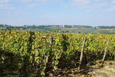 Super Chianti 2 wineries & meat feast @ Dario Cecchini—max 8 pp - The Start at Via dei Renai: How the Day Gets Rolling