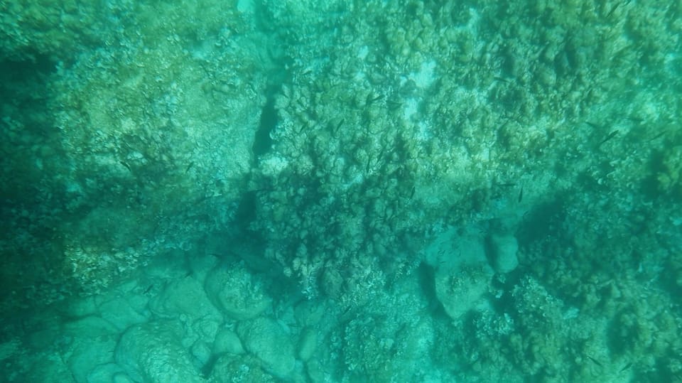 Syracuse: Coast and Sea Caves Full Transparent Boat Tour - Quick Hits Before You Go
