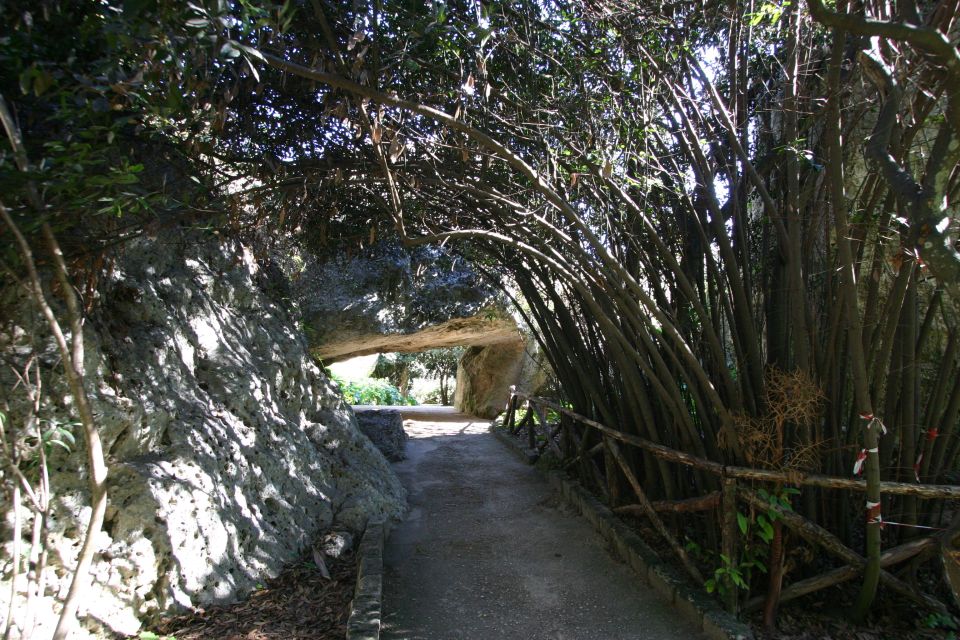 Syracuse: Neapolis Archaeological Park Small Group Tour - Quick hits on the Neapolis tour