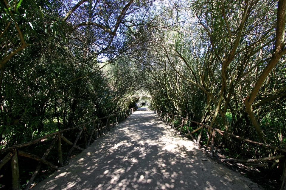 Syracuse: Neapolis Archaeological Park Small Group Tour - Shared vs private: which group choice fits your style
