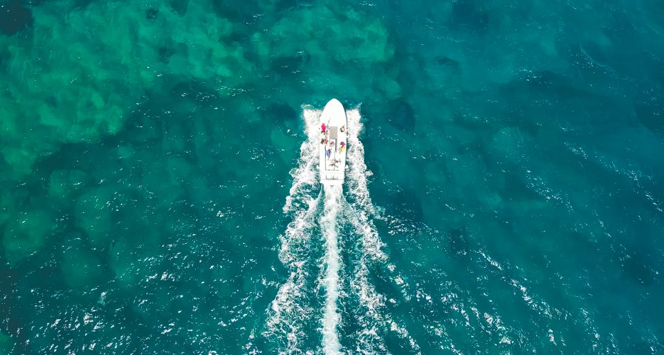 Syracuse: Pillirina, Ortigia, and Sea Caves Tour by Boat - Why Plemmirio Marine Protected Area feels different than a standard coastal cruise