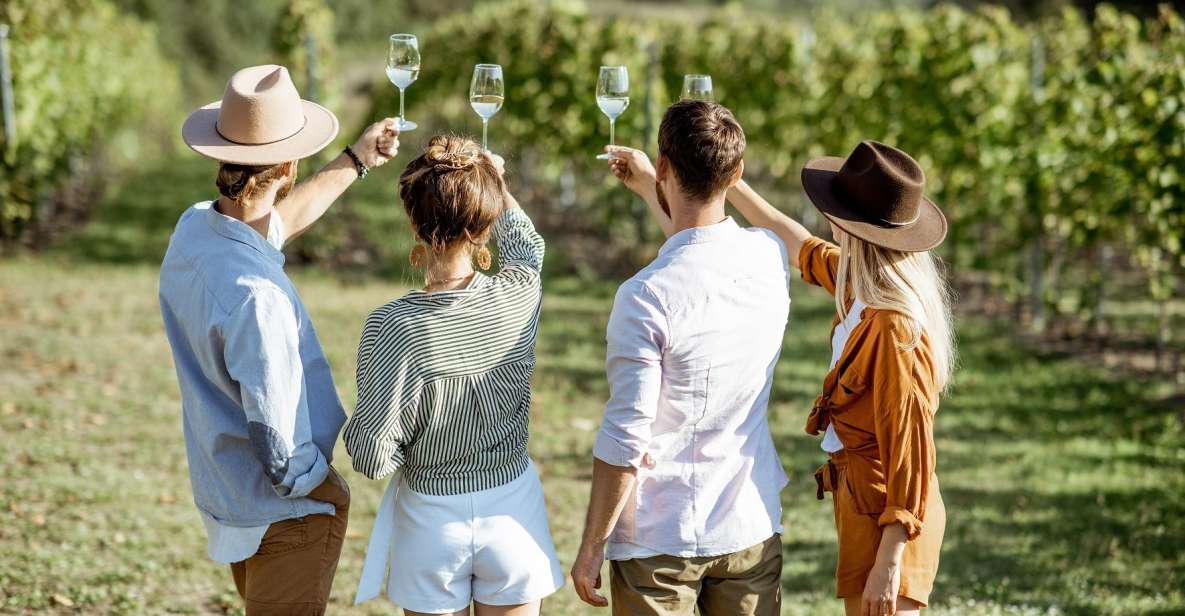 Taormina: Guided Etna Wine Tasting Half-Day Tour - The Coach Ride Toward Linguaglossa: Etna Country Without the Effort