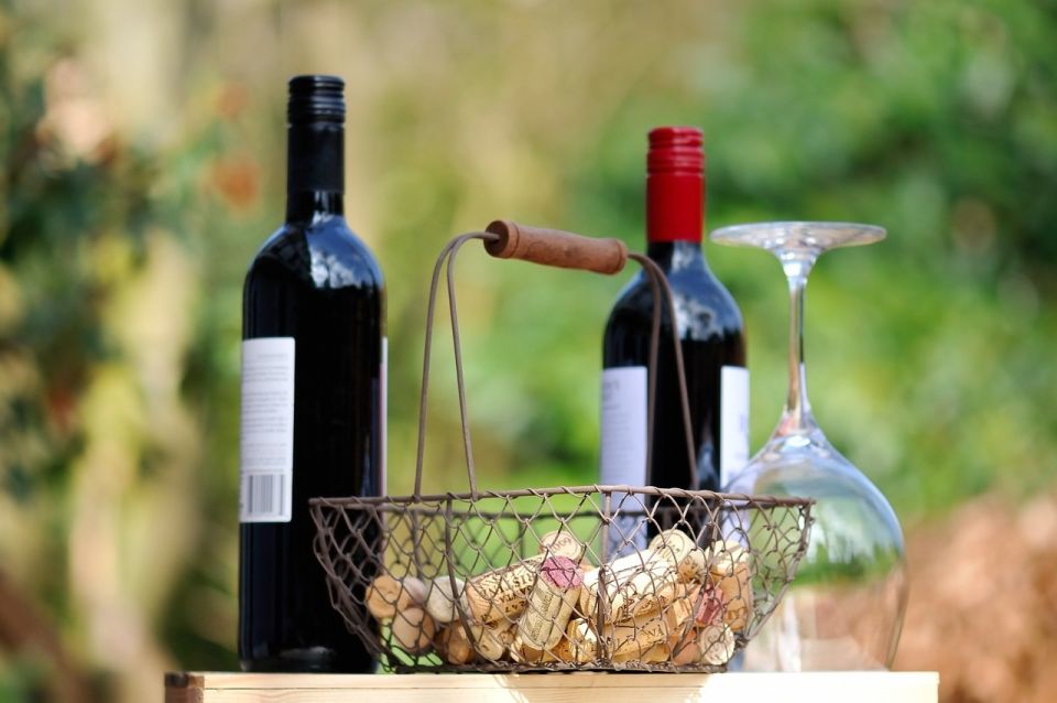Taormina: Guided Etna Wine Tasting Half-Day Tour - Linguaglossa Stop: Break Time, Shopping, and Local Tastings