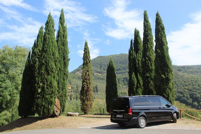 Tasting in a Tuscan Vineyard with transfer from Lucca - Why This Vineyard Visit Feels More Personal Than Big Tours