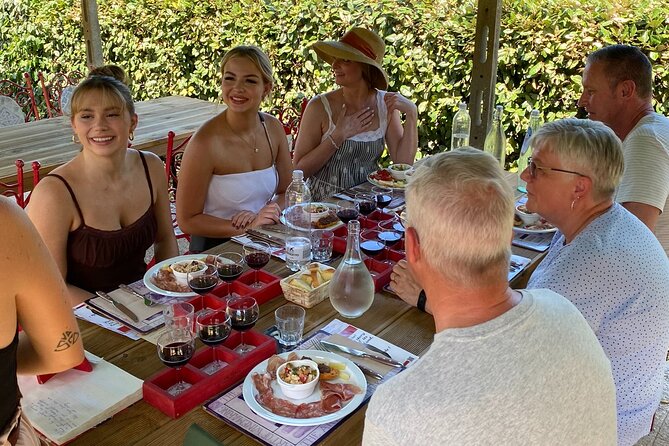 Tasting in a Tuscan Vineyard with transfer from Lucca - Weather and What Can Change Your Day